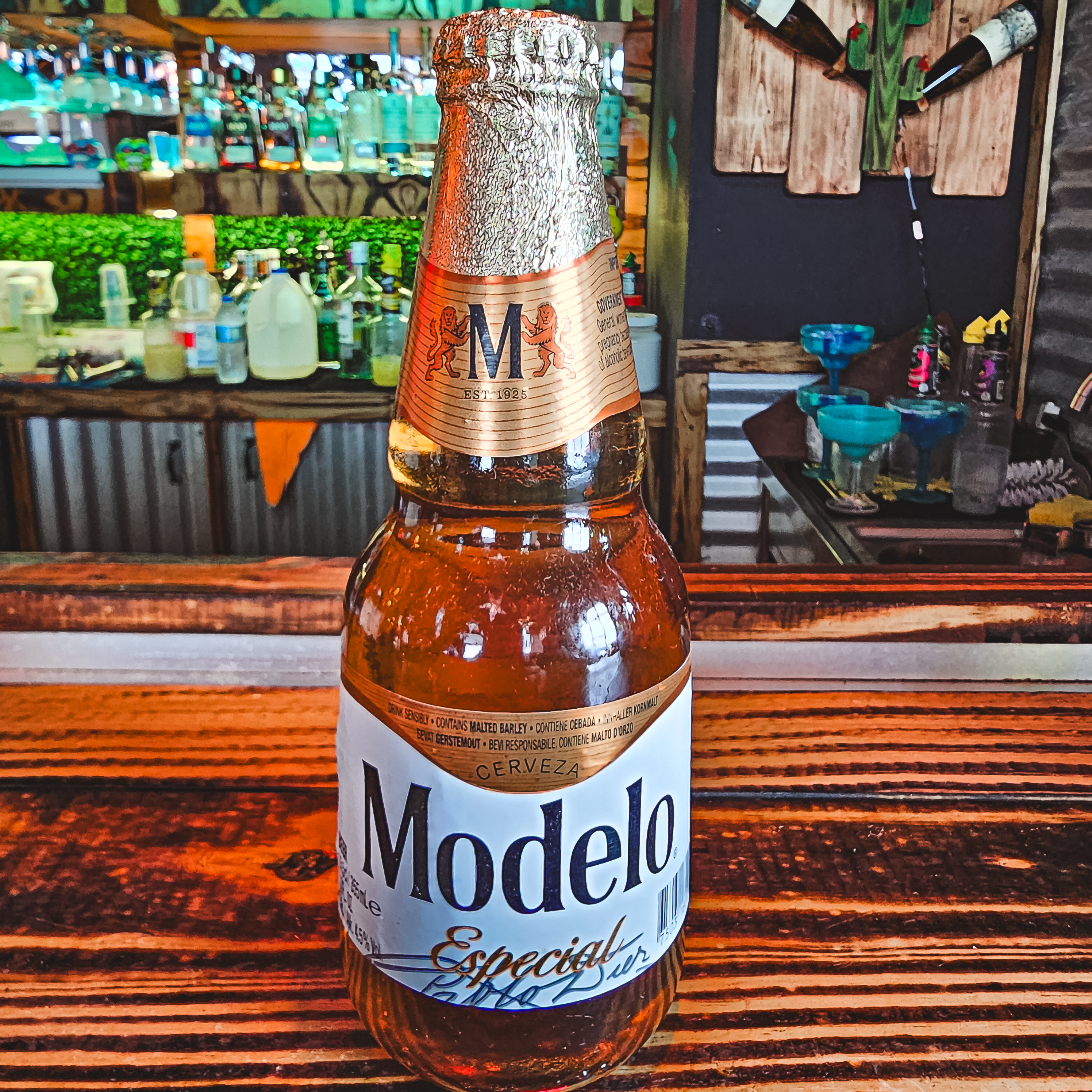 MODELO RUBIA